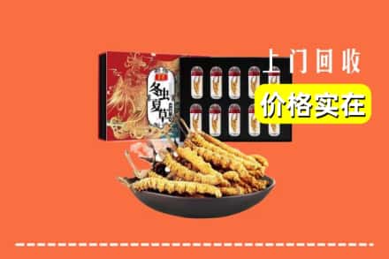 龙凤区回收冬虫夏草